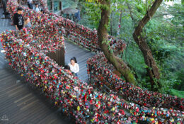 South_Korea (29/70)